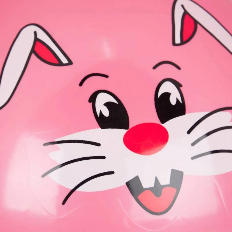 Ballon Sauteur Enfant Motifs Animaux â Image 7