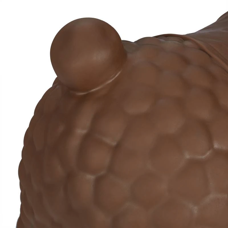 Animal Sauteur De Couleur Marron â Image 8