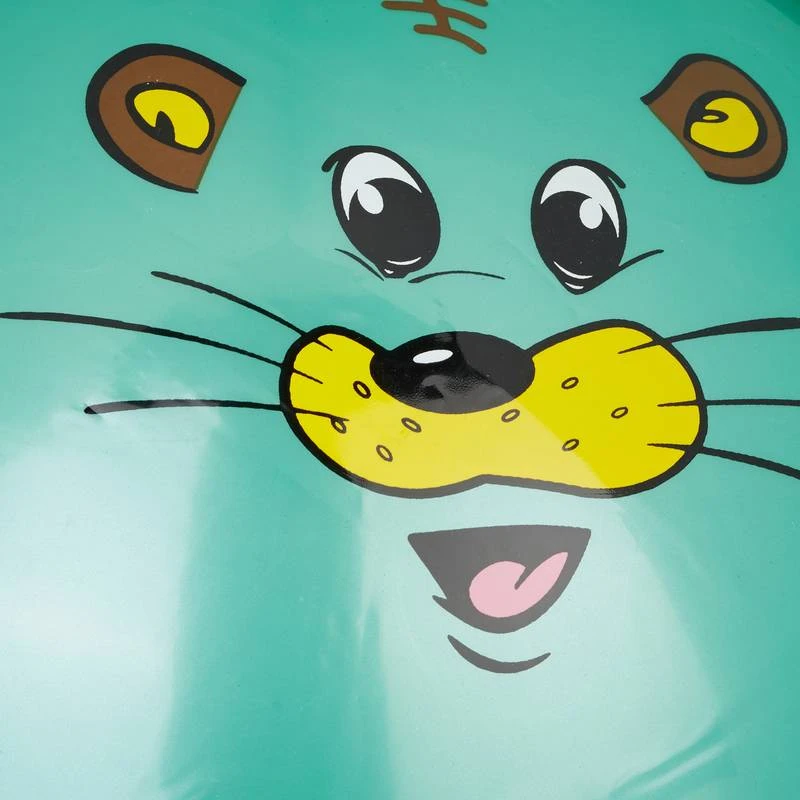 Ballon Sauteur Enfant Motifs Animaux â Image 19